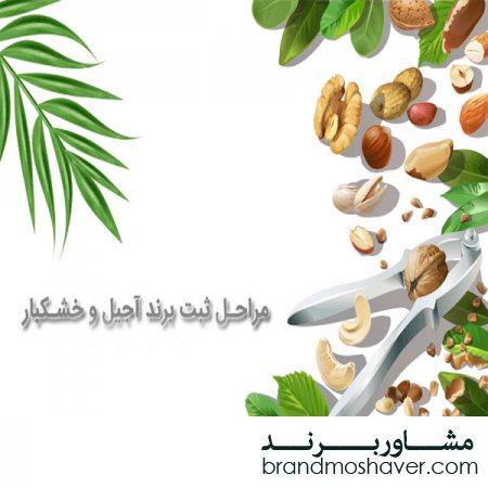 فروش برند خشکبار(مراحل ثبت برند)