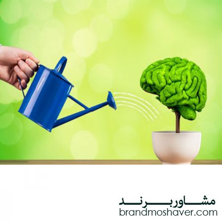 چرا رهبران از ایده های خلاقانه کارمندانشان بهره نمی برند ؟