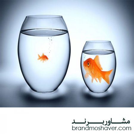 برند/اگر کارمندانتان از شما بهتر عمل کنند چه می‌ کنید؟