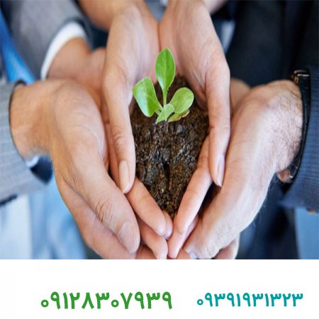 فروش برند/فرهنگ‌ های سازمانی  چگونه بر عملکرد سازمان شما اثر می گذارند ؟