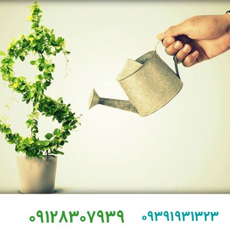 فروش برند/شناسایی گزینه های استراتژیک در سطح کسب و کار