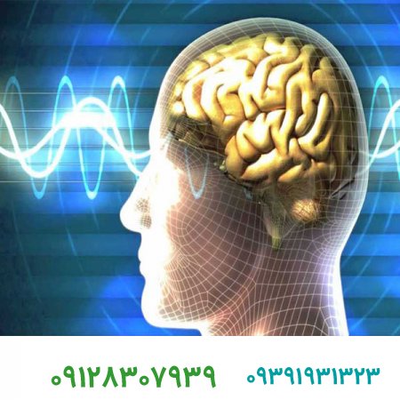 فروش برند آماده و تجاری/چگونه رفتارهای خود را در بحران ها مدیریت کنید