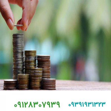 برند/چگونه حاشیه سود را در مقابل تورم و تعرفه‌ها حفظ کنیم؟