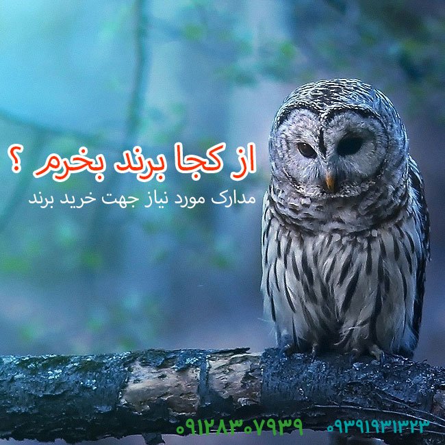برندفروش یا فروش برند چه تفاوتی با هم دارند