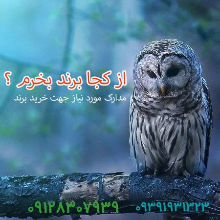 برندفروش،از کجا برند بخریم ؟