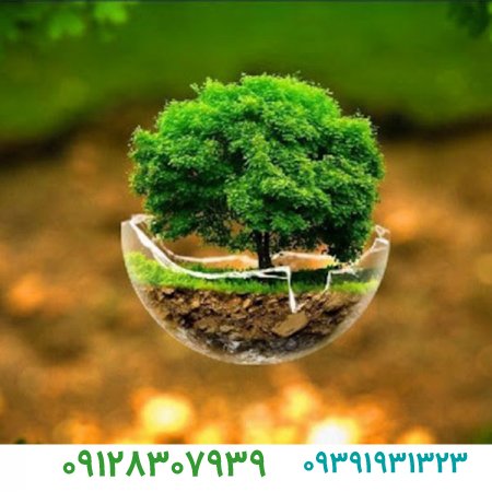 فروش برند،چگونه یک برند فوق العاده داشته باشیم ؟
