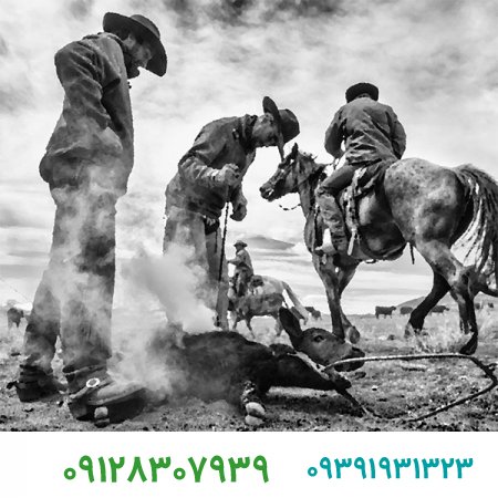 تاریخچه برند از آغاز تا کنون